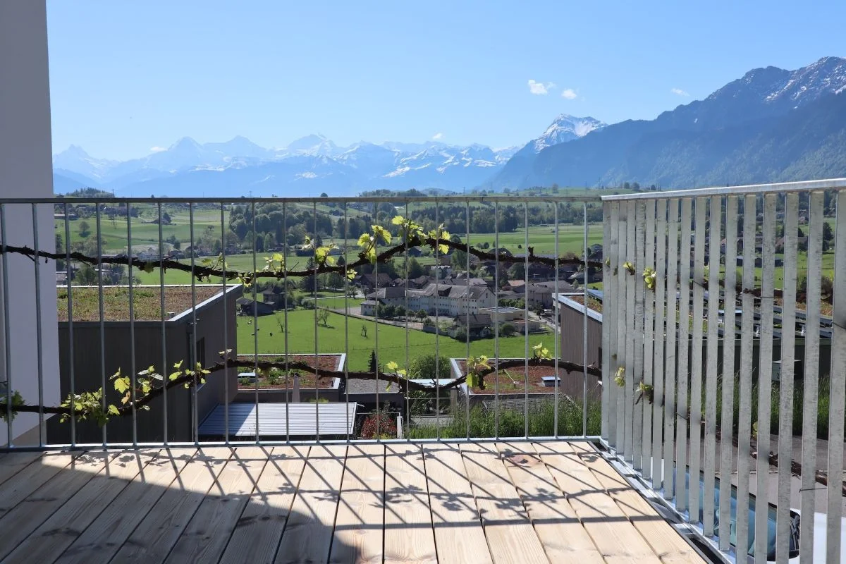 Kundenprojekt Xpress