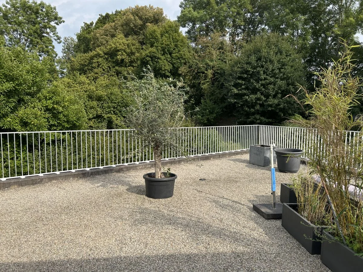 Kundenprojekt Xpress