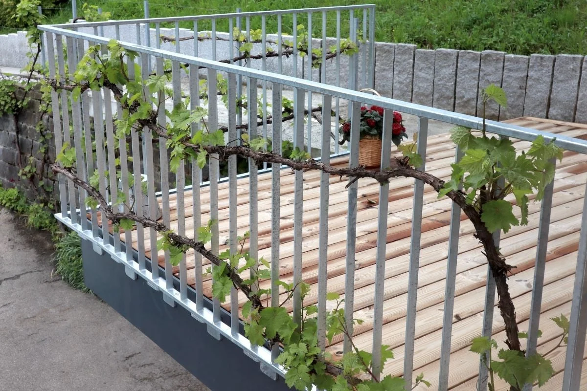 Kundenprojekt Xpress