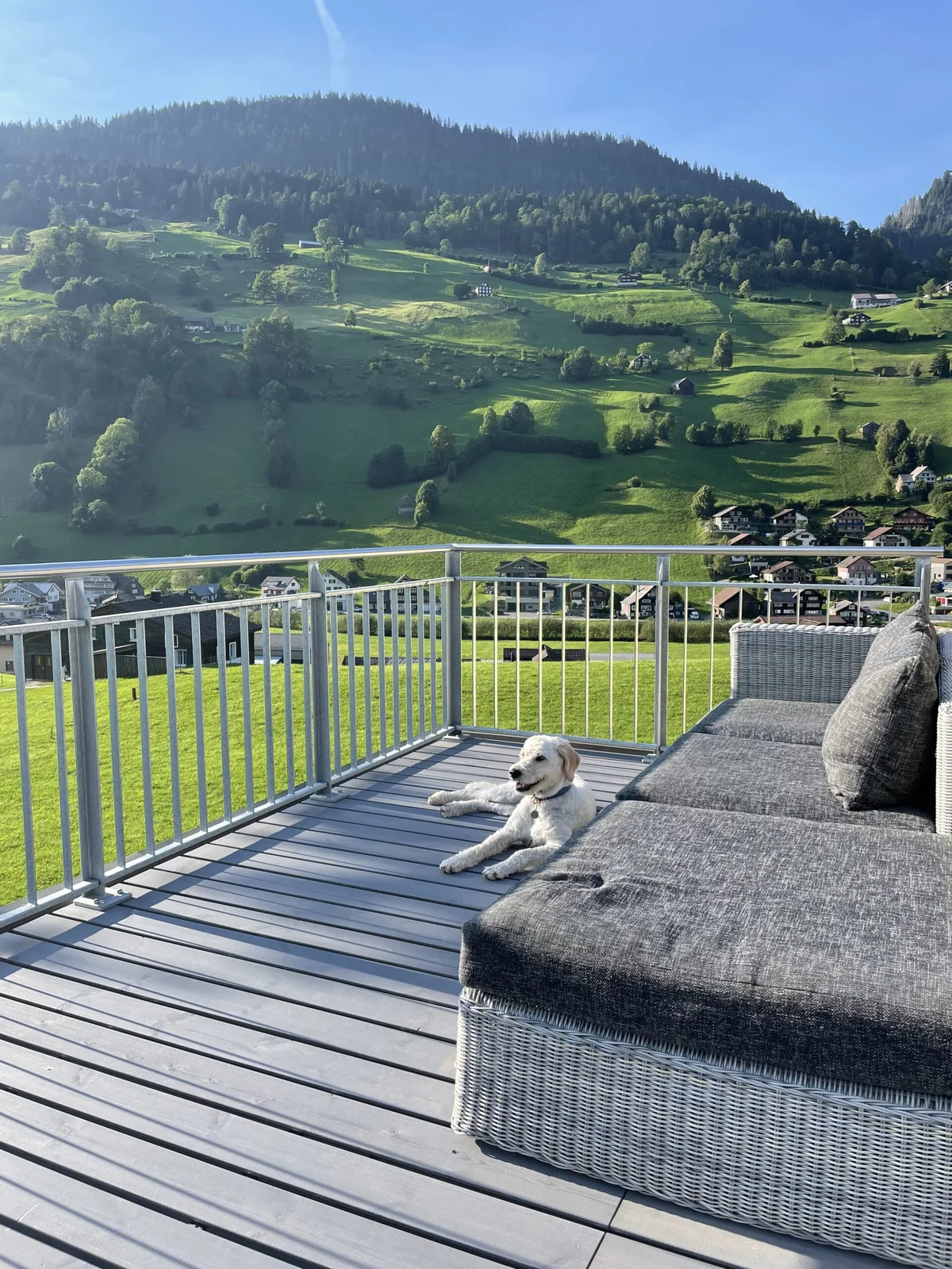 Balkongeländer fertig montiert